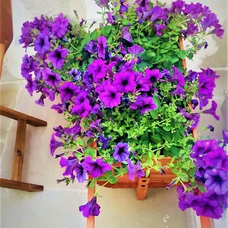 Casa Flami' Daire Ostuni