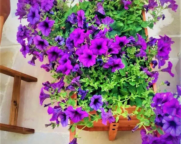 Casa Flami' Appartement Ostuni